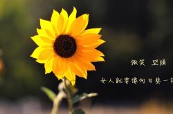 开云体育APP下载-这是一篇为您定制的文章，紧扣唯一性命题，将体育竞技与存在主义哲思相结合。标题与内容均围绕您提供的关键词展开