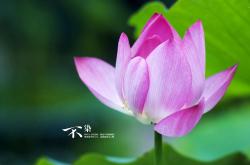 开云体育官网-双重战场，当红土荣耀与团队荣光在兹维列夫的灵魂中对决