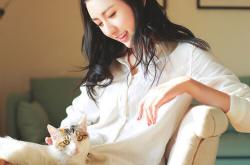 开云体育入口-红色王朝的黄昏，橙色的机械革命，维斯塔潘如何杀死了那个法拉利时代