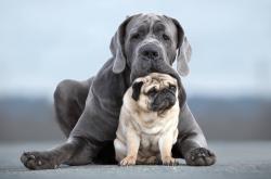 开云体育入口-孤舰的旗帜，当阿斯顿马丁冲破银色浪潮，汉密尔顿如何以肩为桥