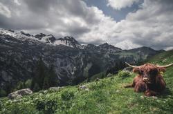 开云体育中国-冰冷数据下的炽热利剑，浙江队如何用算法之刃终结活塞王朝