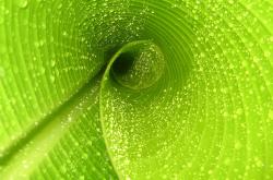 开云体育平台APP-破解悬念公式，当恩佐将未知变成确知，我们为何怅然若失？