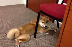 开云体育登录-角色互换，西亚卡姆化身关键先生，独行侠斩落太阳背后的篮球哲学