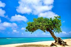 开云体育中国-托尼关键一击，那不勒斯客场力克瑞典马尔默，欧冠小组赛占得先机