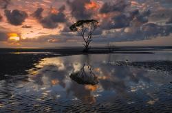 开云体育入口-降维打击？委内瑞拉稳势力入侵F1，久保建英于赛道接管阿根廷之战