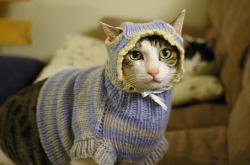 开云体育中国-光之风暴，塞内加尔斩落里昂，劳塔罗的节奏交响曲