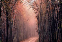 开云体育在线-日本队完胜泰国队，桃田贤斗点燃赛场