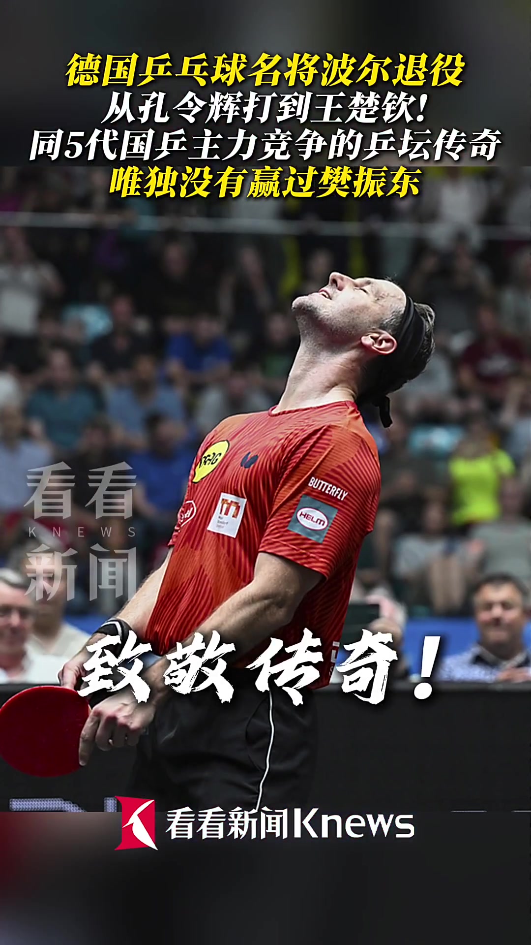 比利时乒乓球队血洗波兰乒乓球队，波尔打破历史纪录