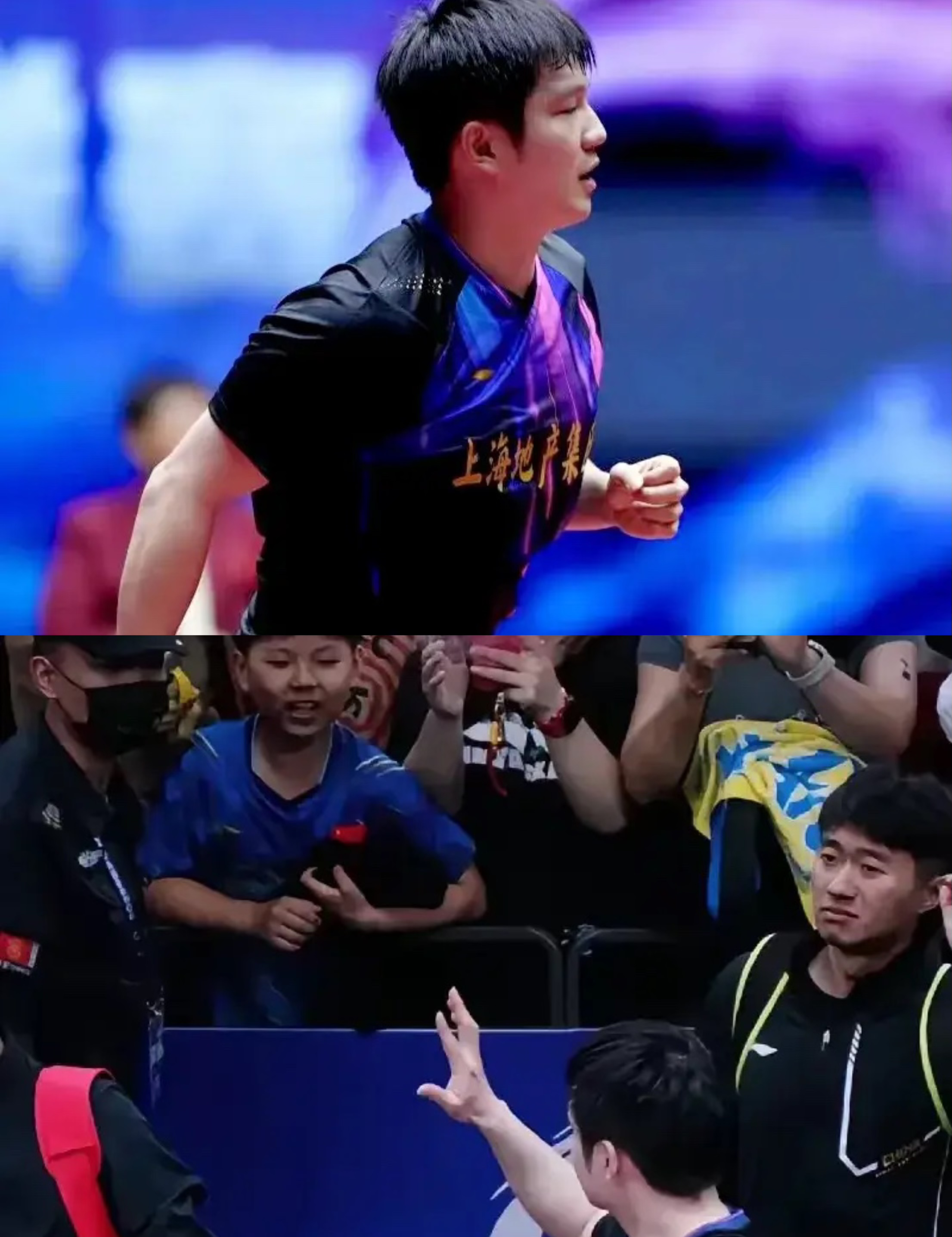 比利时乒乓球队力克日本乒乓球队,樊振东送出助攻 比利时乒乓球队力克日本乒乓球队,樊振东送出助攻