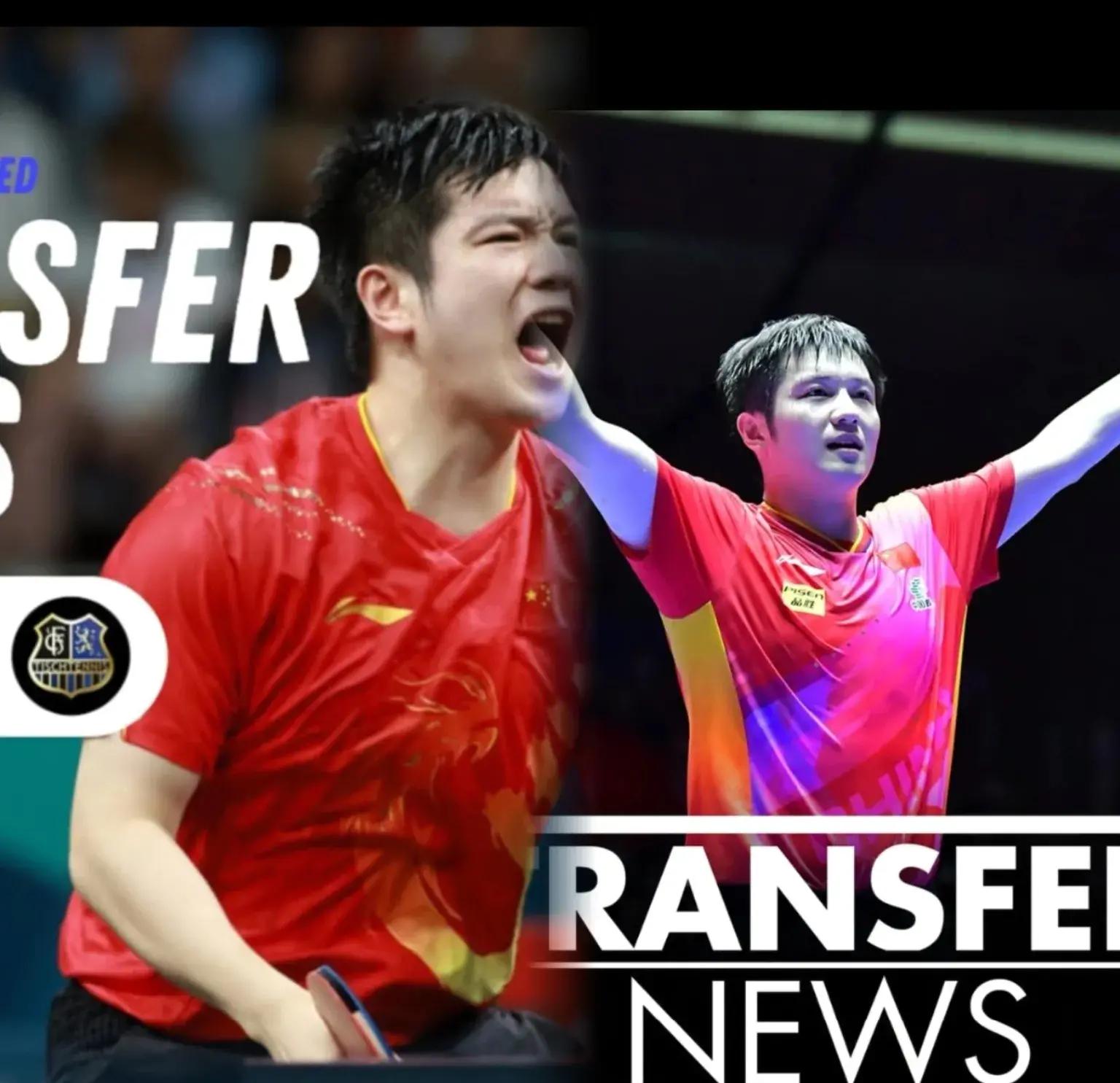 比利时乒乓球队力克日本乒乓球队,樊振东送出助攻 比利时乒乓球队力克日本乒乓球队,樊振东送出助攻