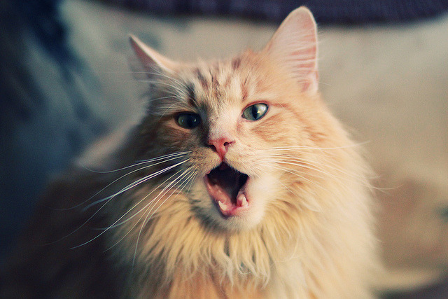 当拉什福德的灵光，遇见法兰西的钢铁洪流—现代足球的冰与火之歌