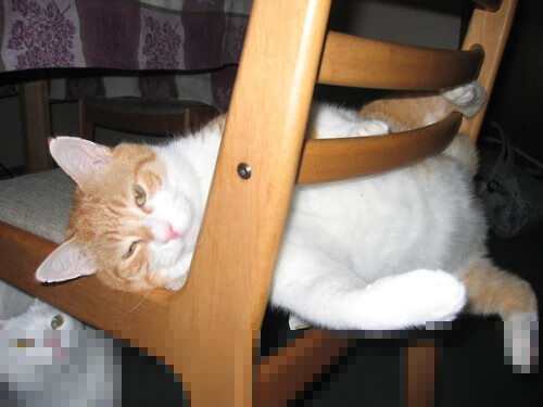 脚踝下的三分雨,2026世界杯之夜,克莱在绿茵场证明自己