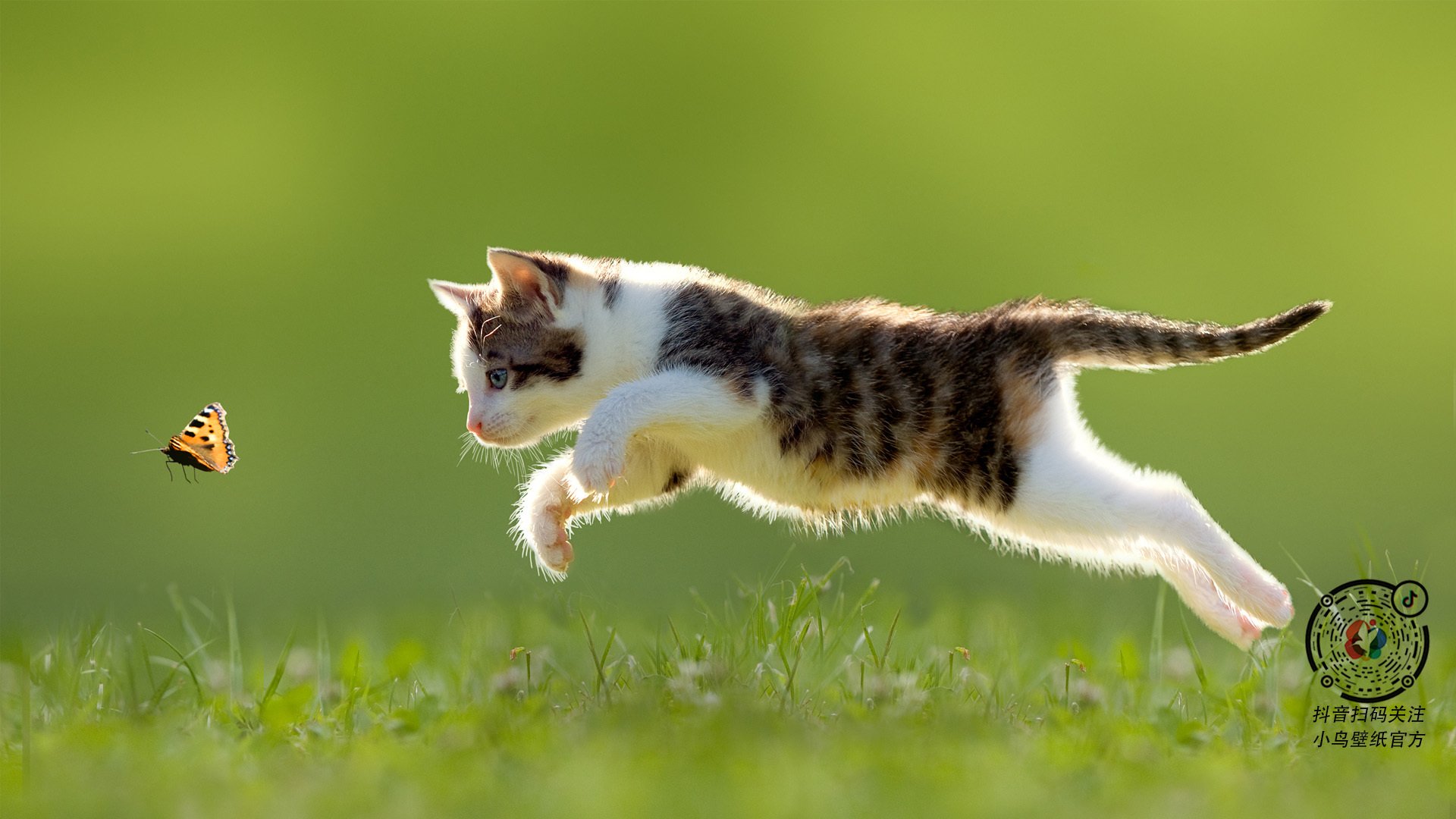 夜之棱镜,勒克莱尔在揭幕战焰火下的碎裂与闪耀