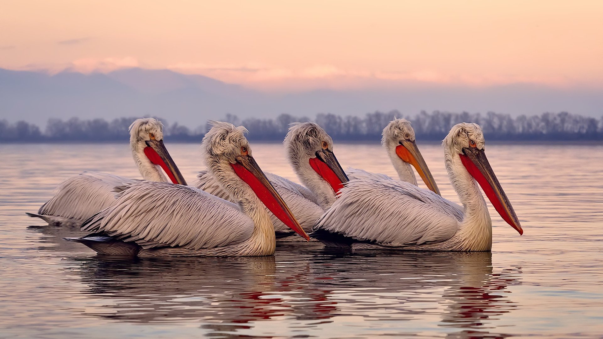 波斯铁骑撞上蓝月堡垒，唯一先生阿克用最不可能的方式定义比赛