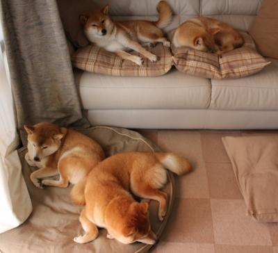 无声处听惊雷，莫德里奇，欧冠夜里的零度胜负手