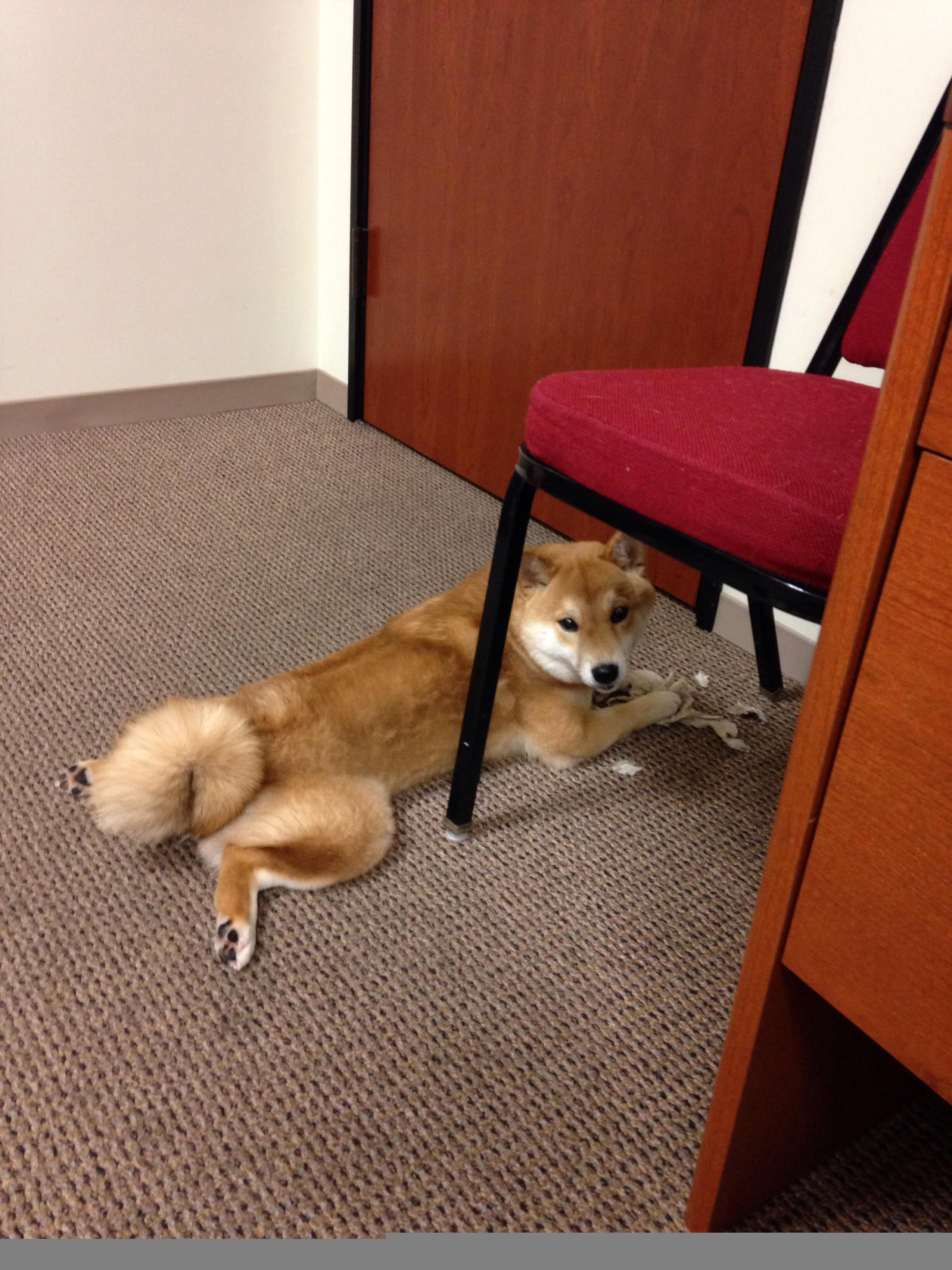 角色互换，西亚卡姆化身关键先生，独行侠斩落太阳背后的篮球哲学