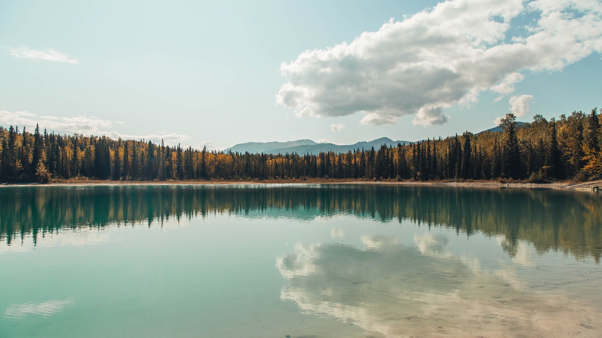 世界之巅的阶梯,加维在命运哨音前的挺身而出