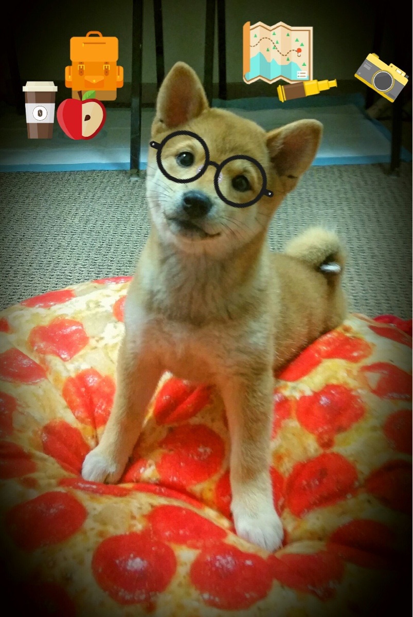 新月照狂潮,布克怒砍41分助篮网险胜山西,危机中绽放唯一光芒