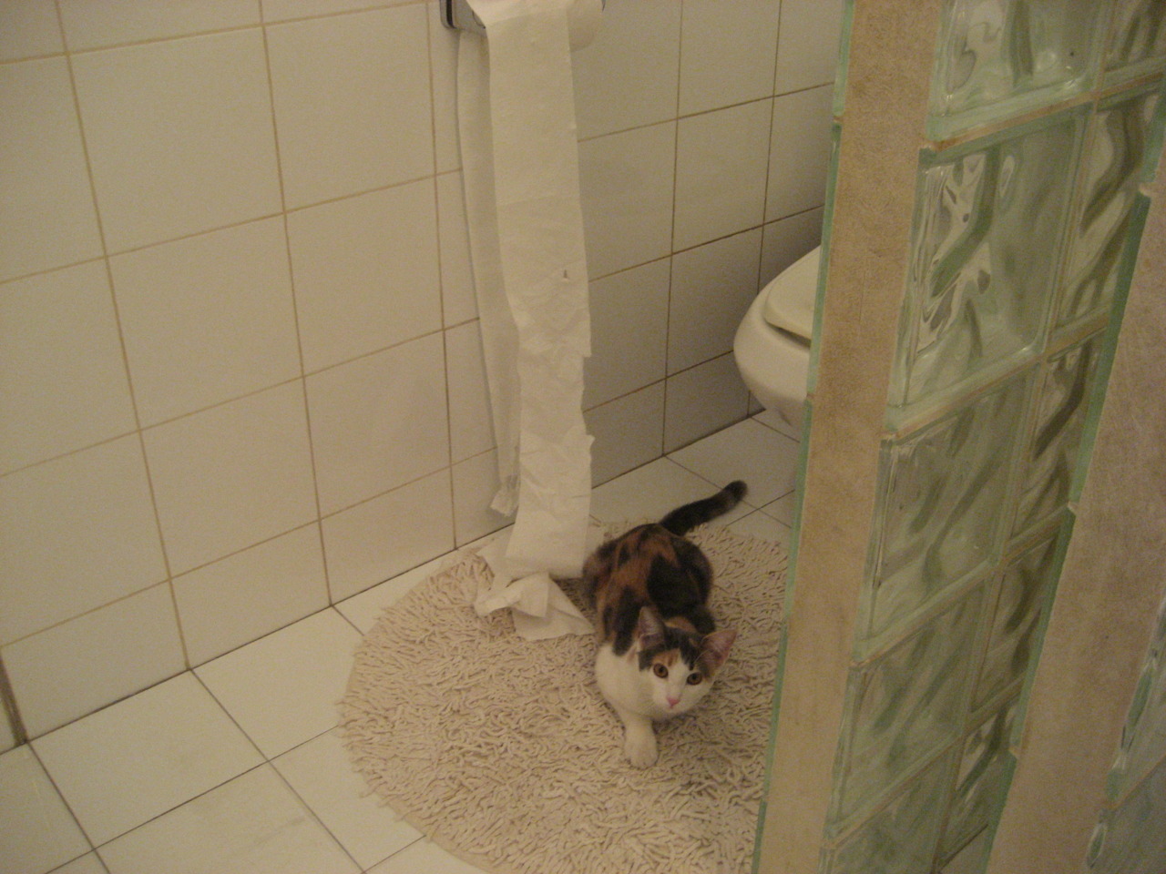 传说中的最后一战,阿克在芬兰之巅的对决