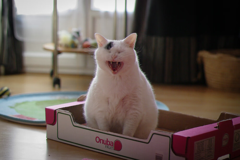 奥运周期关键战之夜,哈登的关键制胜,在齿轮严丝合缝的宿命里,投出孤注一掷的变量