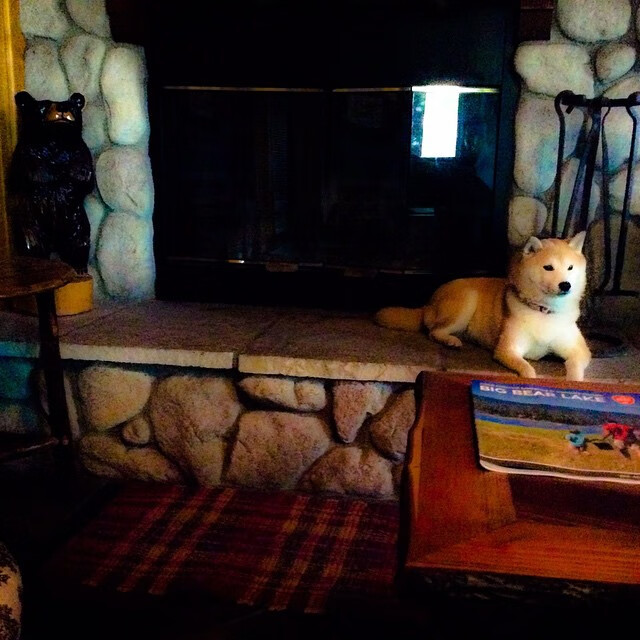 融合的血脉，撕裂的征途，当卡马文加在欧冠之巅回望阿拉伯足球的火焰