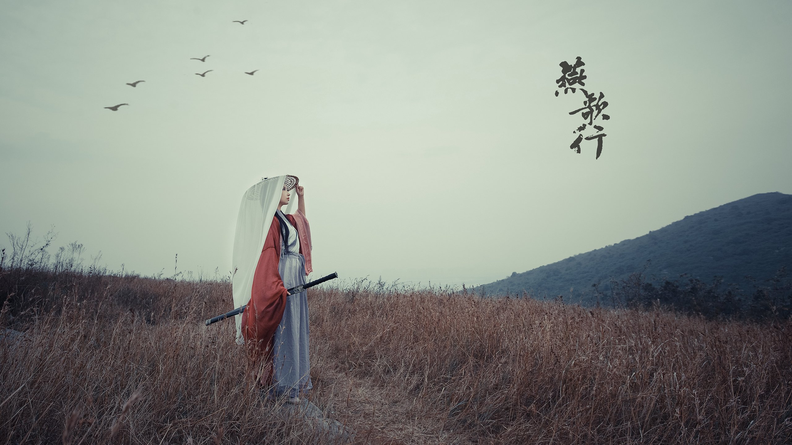 你提出的荷兰对阵安哥拉与德布劳内带动节奏这一组合存在一个核心的矛盾，德布劳内是比利时国家队的核心中场，并非荷兰队成员。因此，一个真实存在或历史性的荷兰vs安哥拉的比赛中，不可能有德布劳内出场