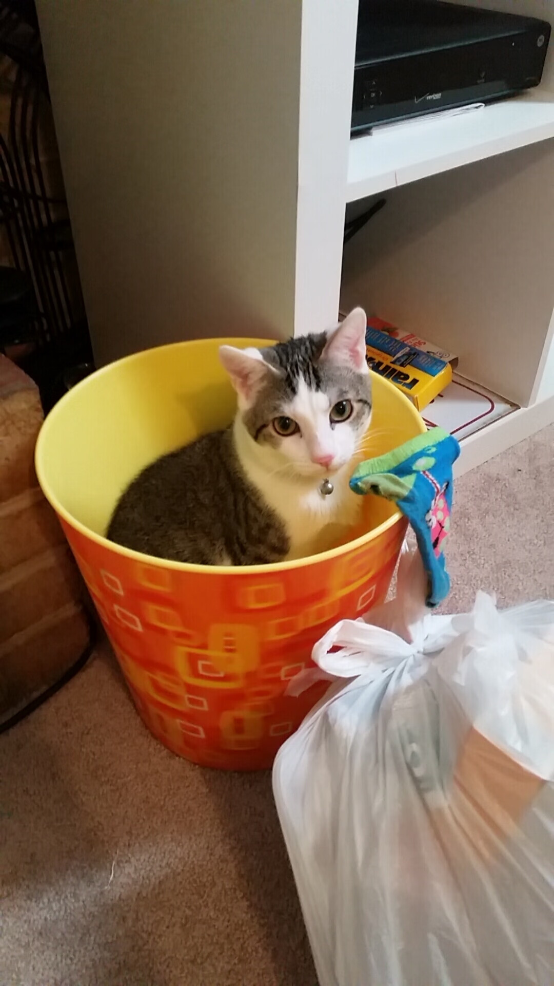 古典与未来的交响，莫德里奇定义时代，勒沃库森奏响新章