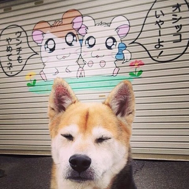 钢铁之心与爵士之魂，底特律的最终章