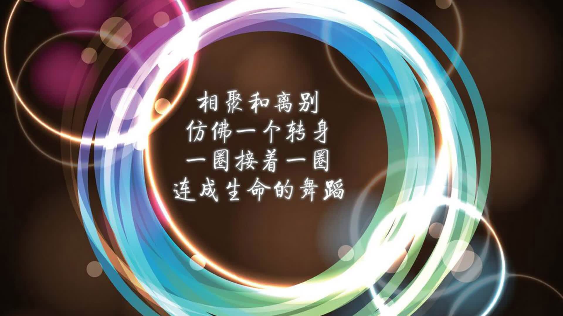 蓝军铁壁，2026世界杯C组关键战，库尔图瓦铸就匈牙利奇迹，防守哲学击碎喀麦隆