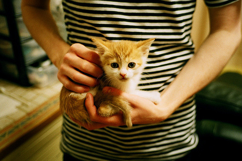 橙衣之殇，萨内一剑封喉，罗马尼亚以攻守转换的极致美学击碎郁金香