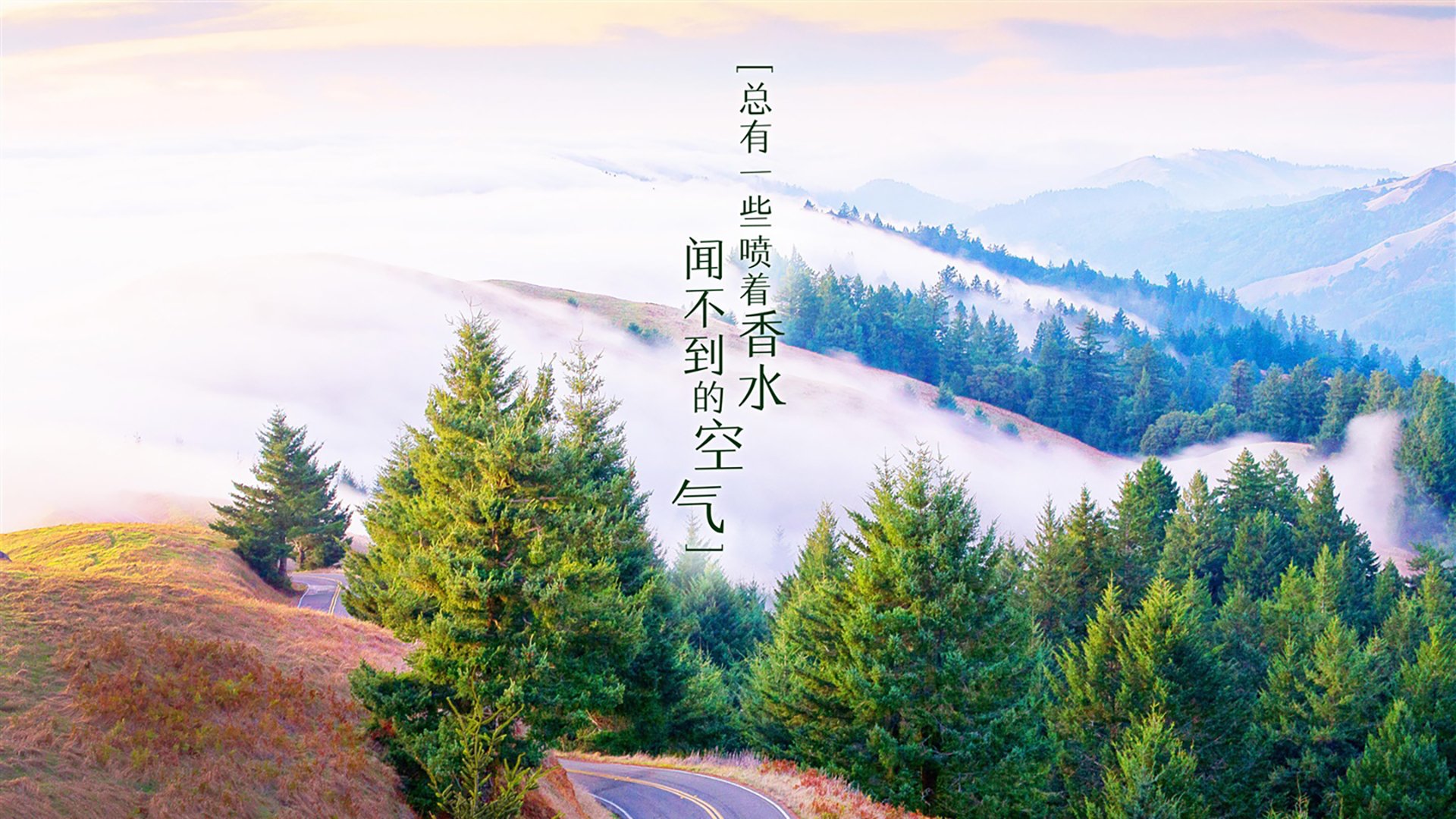 2026世界杯H组绝唱,莱万多夫斯基的致命一击,美国绝杀伊朗的历史时刻