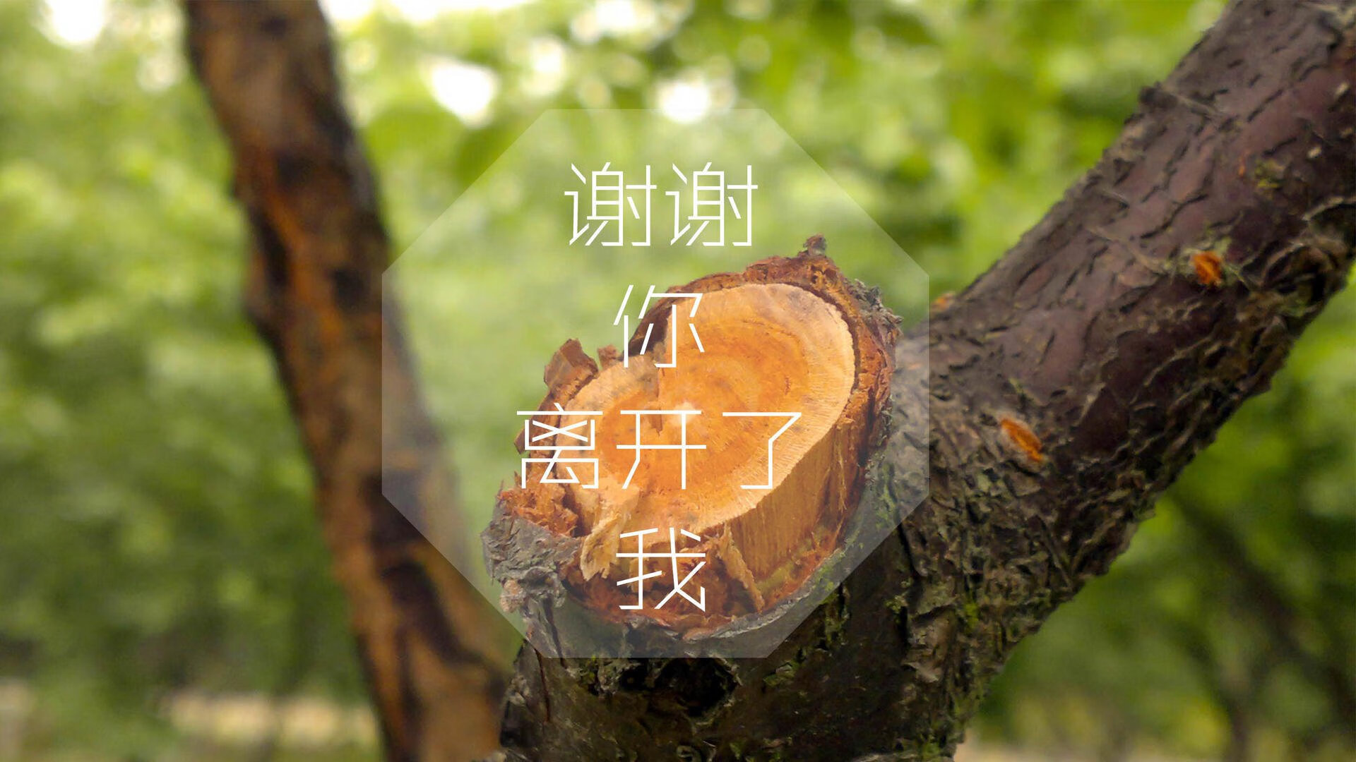唯一剧本，当莫德里奇掌控时光、替补奇兵改写命运，美国队却用一场大胜撕碎所有预期