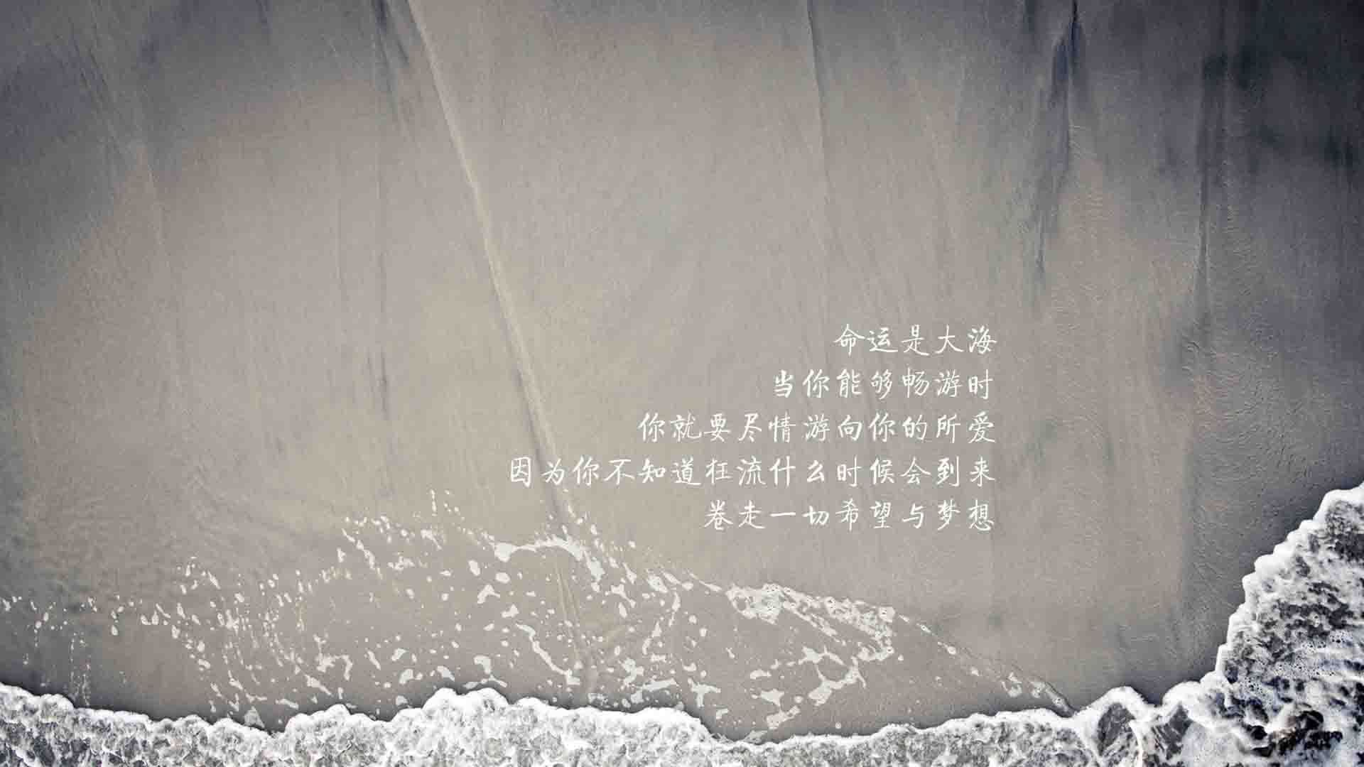 当唯一撕裂剧本,2026世界杯H组,斯洛伐克的冷刃与登贝莱的孤光